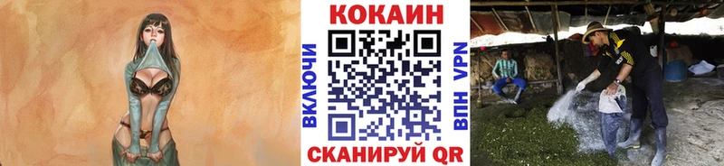 Cocaine Fish Scale Белёв