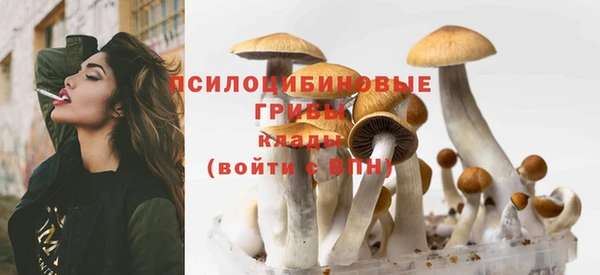 spice Балабаново