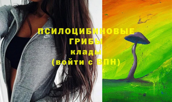 а пвп мука Армянск